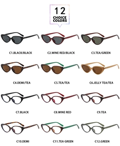 Collection of cat eye sunglasses in twelve colors featuring tortoise shell and tinted lenses