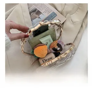 Vue détaillée de la capacité intérieure du sac coquille transparent avec accessoires