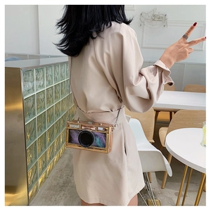 Detailed view of golden camera-shaped bag featuring colorful feather inner decor