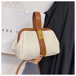 Detail of retro shell bag featuring lychee texture leather and gold metal twist lock