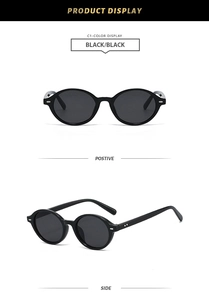 Detailansicht der Vorder- und Seitenansicht einer Retro-Oval-Sonnenbrille mit Silbernieten