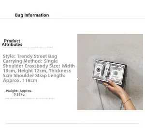 Detail view of acrylic box bag showing 19x12x5cm dimensions and chain strap specifications