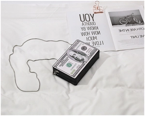 Detail of creative dollar bill acrylic clutch with a slim silver metal snake chain