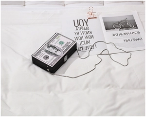 Macro detail of acrylic dollar bill clutch featuring metal chain and secure silver clasp
