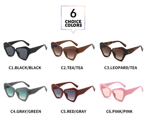 Six options de couleurs pour lunettes de soleil géométriques avec monture moderne épaisse
