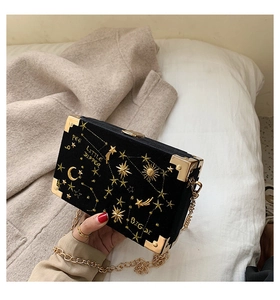 Détail du sac boîte en velours noir avec broderie céleste dorée et coins en métal