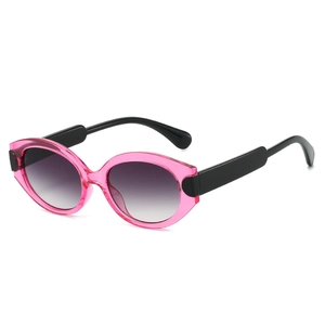 Retro Oval Cat Eye Sunglasses UV400 Protection PC Frame Vintage Fashion Outdoor Versatile Eyewear For Women And Men