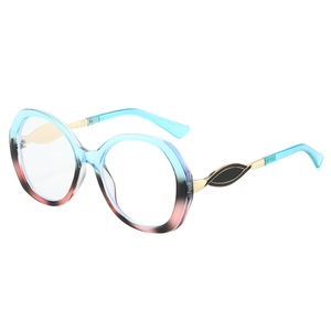 Lunettes Ovales Surdimensionnées À La Mode Monture PC Branches En Métal Lunettes Rondes Décoratives Style Retro Ins Pour Femmes Hommes