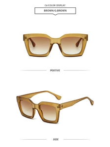 Detailed front and side views of matte brown retro polygon sunglasses in C6 color