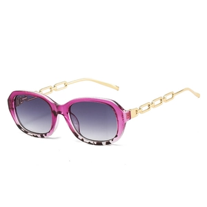 Fashion Sunglasses With Metal Chain Temples Vintage Oval PC Frame UV400 Protection Trendy Eyewear For Women Men