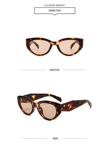 Detail view of cat eye sunglasses featuring demi tortoise frames and tea-tinted lenses