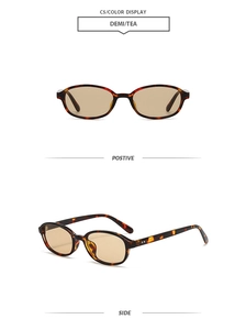Detail view of oval retro sunglasses in demi frame and tea lenses with metal hinges