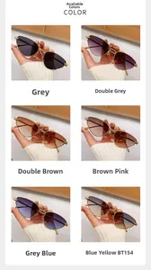 Detail view of cat eye sunglasses in six stylish colors with golden engraved temples