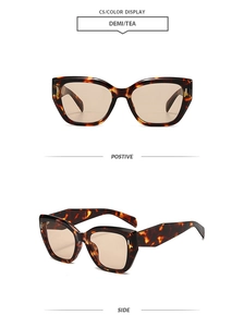 Detail view of large retro cat-eye sunglasses with demi frames and tea lenses