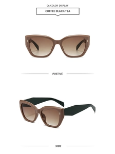 Detail view of fashion cat-eye sunglasses in coffee black with gradient tea lenses