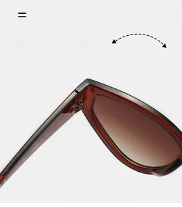 Détails des charnières métalliques et verres dégradés marron sur lunettes de soleil œil-de-chat