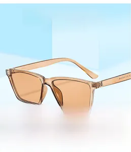 Macro shot of brown transparent square frame sunglasses featuring SM3213 model detail