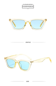 Detail view of champagne square frame sunglasses with light blue lenses and side temple markings