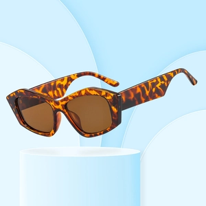 Geometric Square Sunglasses PC Frame UV400 Protection Retro Vintage Fashion Eyewear For Women Men Outdoor Driving