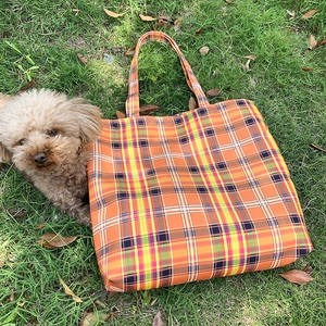 Sac fourre-tout à carreaux orange sur l'herbe verte avec un petit chien brun à côté
