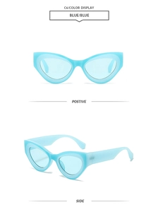 Detail view of stylish light blue cat-eye sunglasses with matte finish and C6 color display