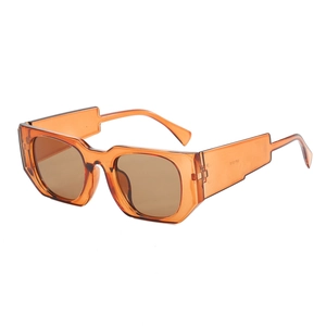 Fashion Irregular Rectangle Sunglasses For Women Men PC Thick Frame UV400 Retro Trendy Oversized Square Eyewear