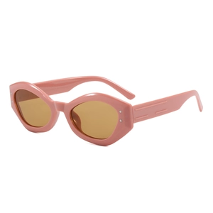 Cat Eye Sunglasses Irregular Polygon Geometric Retro UV400 Protection PC Frame Rivet Fashion For Women Men