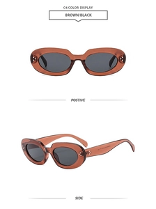 Detailed view of brown oval sunglasses showing front and side profiles on white backdrop