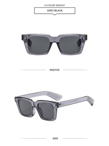 Detail view showing transparent grey frame and silver T-shaped decor on sunglasses