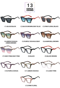 Présentation de 13 couleurs de lunettes de soleil polygonales aux montures géométriques