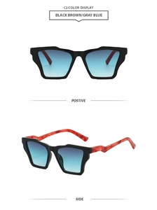 Vues détaillées montrant la monture noire polygone et branches écaillées de lunettes