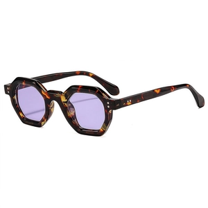Retro tortoise shell hexagonal sunglasses with purple lenses and silver rivet accents