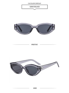 Vorder- und Seitenansicht der grauen Cat-Eye-Sonnenbrille mit durchsichtigem Rahmen