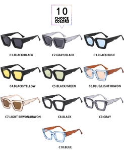 Grid display of ten stylish thick-frame polygonal sunglasses in multiple color options