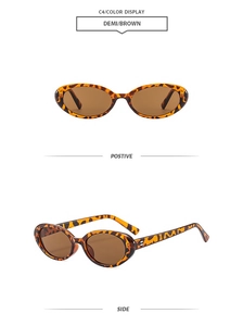 Detail view of oval demi-brown sunglasses frames with tortoise pattern and brown lenses