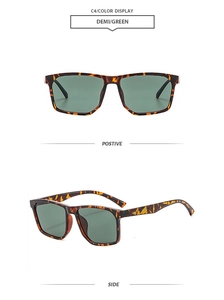 Detail of square sunglasses with demi-tortoise frames and dark green lenses, C4 model