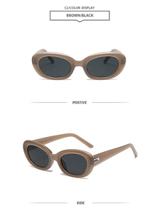 Detail view of oval brown sunglasses featuring silver metal accents and printed model numbers