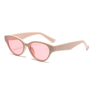 Cat Eye Sunglasses Retro Small Frame PC UV400 Protection Vintage Fashion Outdoor Street Style Eyewear For Men Women