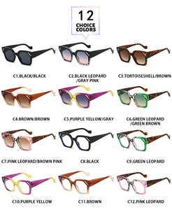 Matrix showing twelve different colors of polygon sunglasses with thick plastic frames