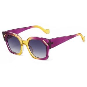Fashion Polygon Sunglasses Retro Geometric PC Frame UV400 Protection Outdoor Eyewear For Men Women