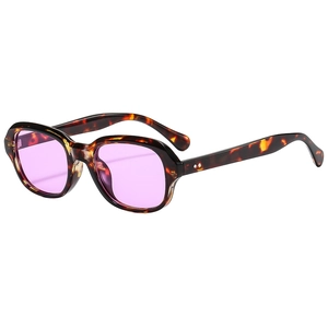 Retro Irregular Oval Sunglasses With Pc Frame And Pc Lens Uv400 Protection Outdoor Travel Fashion Eyewear For Men Women