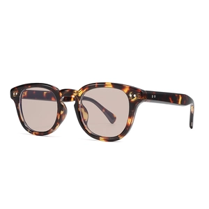 Lunettes de soleil rétro polygonales écaillées avec verres marron clair tendance