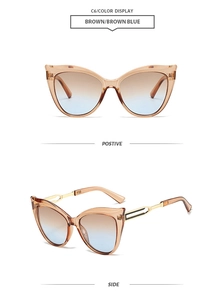 Detailed front and side views of cat-eye sunglasses with hollow metal temples and brown frame