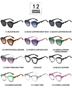 Collection of twelve stylish oversized cat-eye sunglasses and frames in varied colors