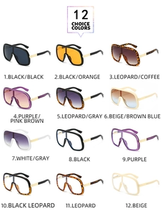 Detailed catalog showing twelve color variations of oversized trendy sunglasses