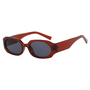 Lunettes De Soleil Polygone Rétro Protection UV400 Monture PC Lunettes Vintage Épaisses Pour Femmes Hommes Mode Trendy
