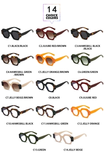 Collection of 14 trendy geometric polygon sunglasses in various colors and tinted lenses