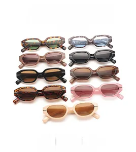 Collection of irregular oval frame sunglasses in various retro colors and tortoiseshell