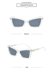 Detail view of stylish transparent cat eye sunglasses with grey lenses and metal hinges