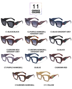 Grille de 11 lunettes de soleil œil de chat élégantes avec montures et branches colorées